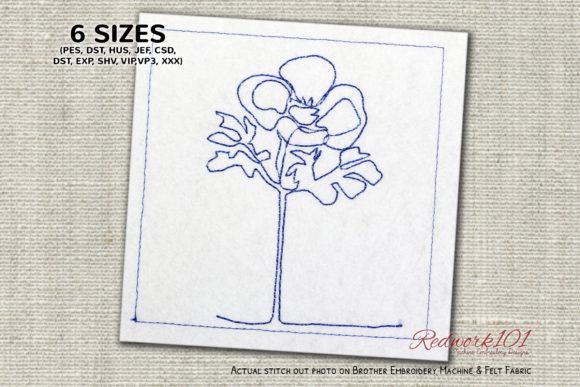Anemone Flower: A Designer’s Review for Personalized Gifts