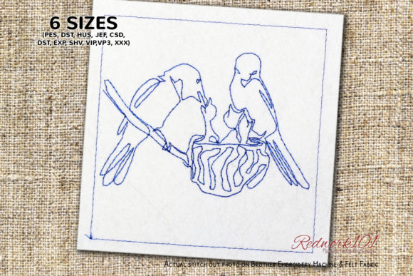 Bird Perched on Nest Feeding Baby Birds: A Designer’s Review
