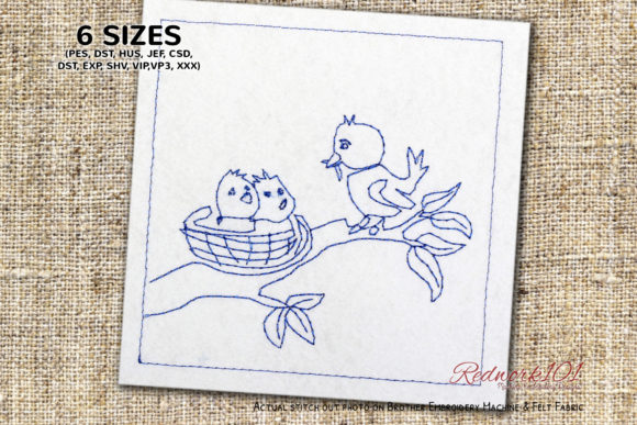 Reviewing Bird Feeding New Born Chicks Redwork