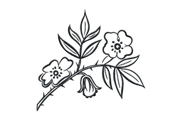 Rosehip Branch with Flowers: A Designer’s Review